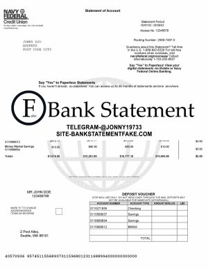 Fake navy federal bank statement template