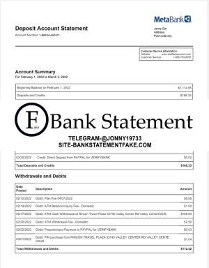 metabank statement template