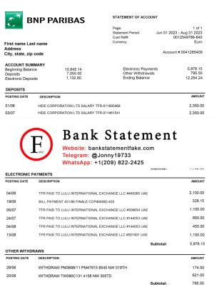 Poland BNP Bank Statement Template